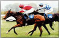 cartmel races - Your guide 2 the lake district